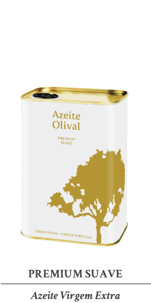 AF PaginaWeb Olival 17