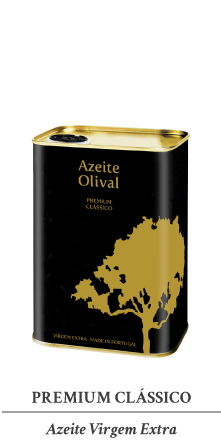 AF PaginaWeb Olival 18