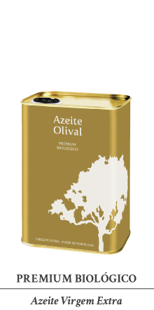 AF PaginaWeb Olival 24
