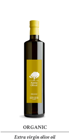 AF PaginaWeb Olival 05