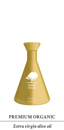 AF PaginaWeb Olival 19